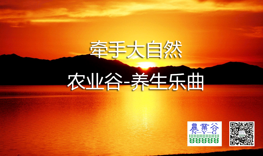 http://v.youku.com/v_show/id_XNzI3NTU0MTgw.html